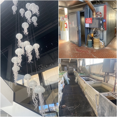 Produzione di lampade e arredi di design - macchinari, attrezzature, magazzino, showroom - LG 12/2025 Trib. Ancona